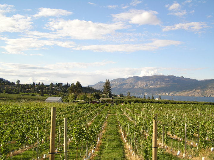 What Defines an Okanagan Boutique Winery?